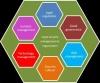 Cybersecurity Management