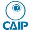 Certified AI Professional (CAIP)
