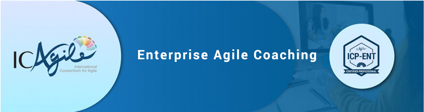 Enterprise Agile Coaching